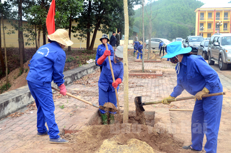 Công nhân Công ty cổ phần Môi trường và Công trình đô thị Yên Bái tham gia trồng cây xanh tại Trường Cao đẳng Nghề Yên Bái.