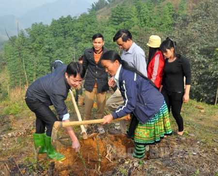 Lãnh đạo huyện hướng dẫn kỹ thuật trồng tre măng Bát Độ cho nhân dân thôn Hồng Lâu, xã Hồng Ca.