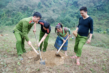Lực lượng vũ trang huyện Trấn Yên giúp người dân xã Hồng Ca trồng tre măng Bát độ.