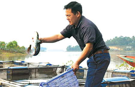 Nghề nuôi cá lồng trên hồ mang lại thu nhập cao cho gia đình anh Phạm Văn Định, thôn Đồng Tanh, xã Phúc An.
