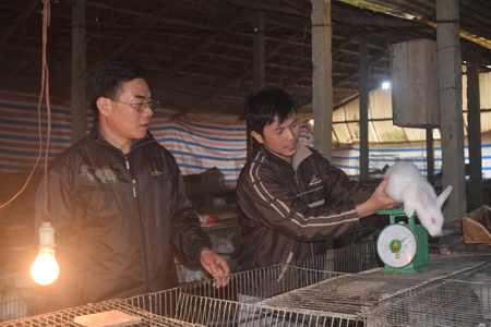 Anh Nông Ngọc Tú (bên phải) là người đầu tiên đưa thỏ về nuôi ở thôn 6, xã Yên Hưng, huyện Văn Yên.