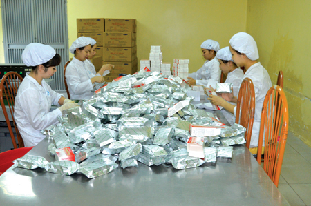 Công nhân Công ty cổ phần Dược phẩm Yên Bái đóng gói sản phẩm.