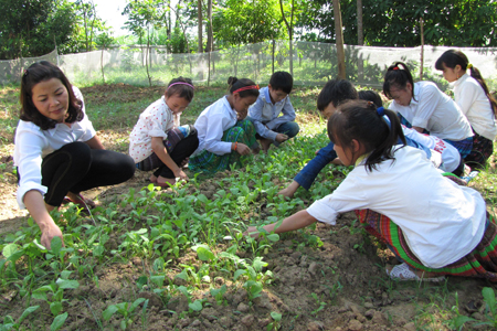 Cô và trò Trường PTDTBT TH&THCS Châu Quế Thượng chăm sóc vườn rau để cải thiện bữa ăn hàng ngày.