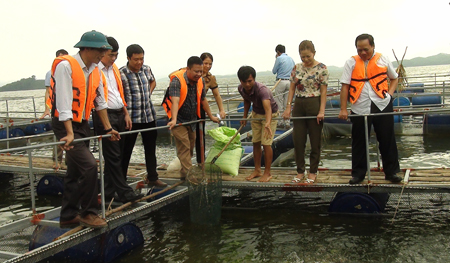 Lãnh đạo HĐND tỉnh và huyện Yên Bình thăm mô hình nuôi cá lồng tại xã Mông Sơn.
