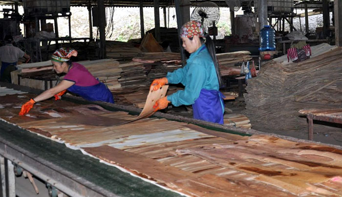 Đoàn viên, người lao động Công ty cổ phần Yên Thành trong dây chuyền sản xuất gỗ.