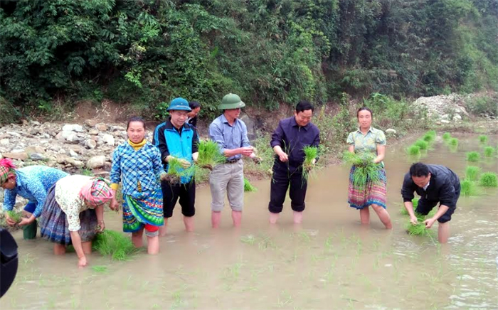 Các đồng chí lãnh đạo huyện và xã Pá Lau xuống đồng cùng nhân dân cấy lúa xuân.