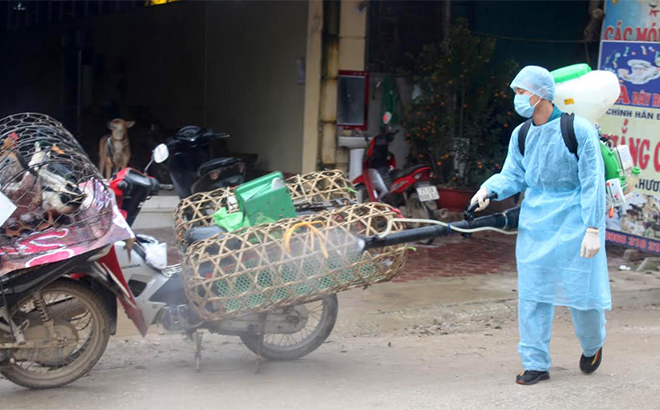 Các địa phương trong huyện Lục Yên phun hóa chất phòng chống dịch cúm gia cầm.