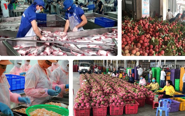 Nông sản Việt cần tận dụng ngay cơ hội để vào thị trường EU ngay sau khi Hiệp định EVFTA có hiệu lực. (Ảnh minh họa)