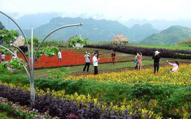 Du lịch Bình nguyên xanh Khai Trung (Lục Yên) thu hút du khách