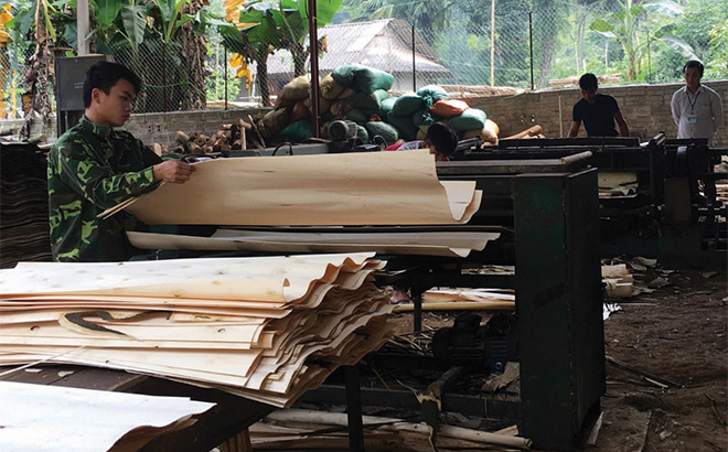 Các xưởng chế biến gỗ rừng trồng ở xã Tân Hương, huyện Yên Bình đã tạo nhiều việc làm, thu nhập ổn định cho lao động địa phương. (Ảnh: T.L)