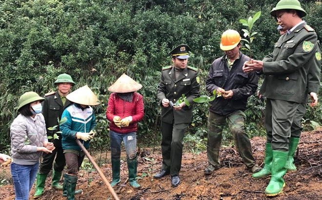 Cán bộ kiểm lâm hướng dẫn nông dân kỹ thuật trồng rừng.