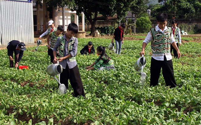 Học sinh Trường PTDTNT THCS huyện Văn Chấn chăm sóc vườn rau góp phần cung cấp thực phẩm sạch trong các bữa ăn.