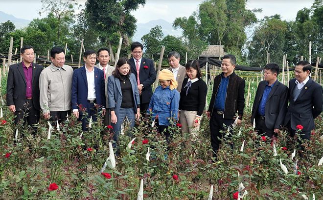 Các đồng chí lãnh đạo Thị ủy, HĐND, UBND thị xã Nghĩa Lộ kiểm tra tình hình sản xuất và tham quan mô hình phát triển kinh tế từ trồng hoa tại tổ Cang Nà, phường Trung Tâm.