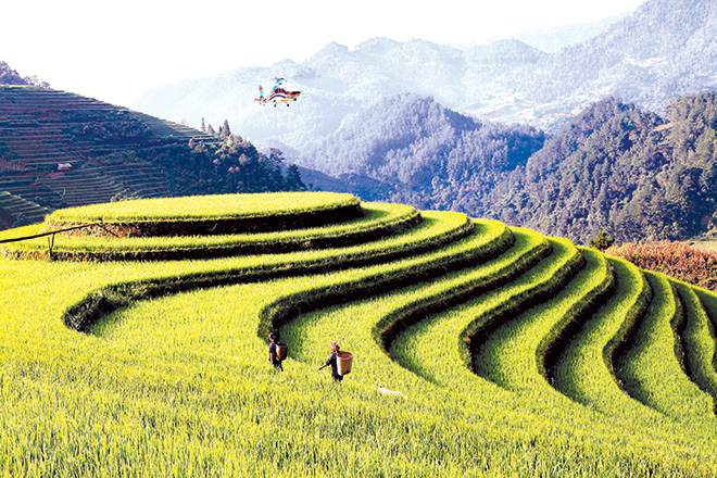 Những năm gần đây, du lịch ở Mù Cang Chải phát triển nhanh, mạnh với sự quan tâm, tham gia của các công ty du lịch, lữ hành lớn. Trong ảnh: Dịch vụ tham quan mùa lúa chín bằng máy bay trực thăng đang được du khách rất thích thú khi đến tham quan Mù Cang Chải.