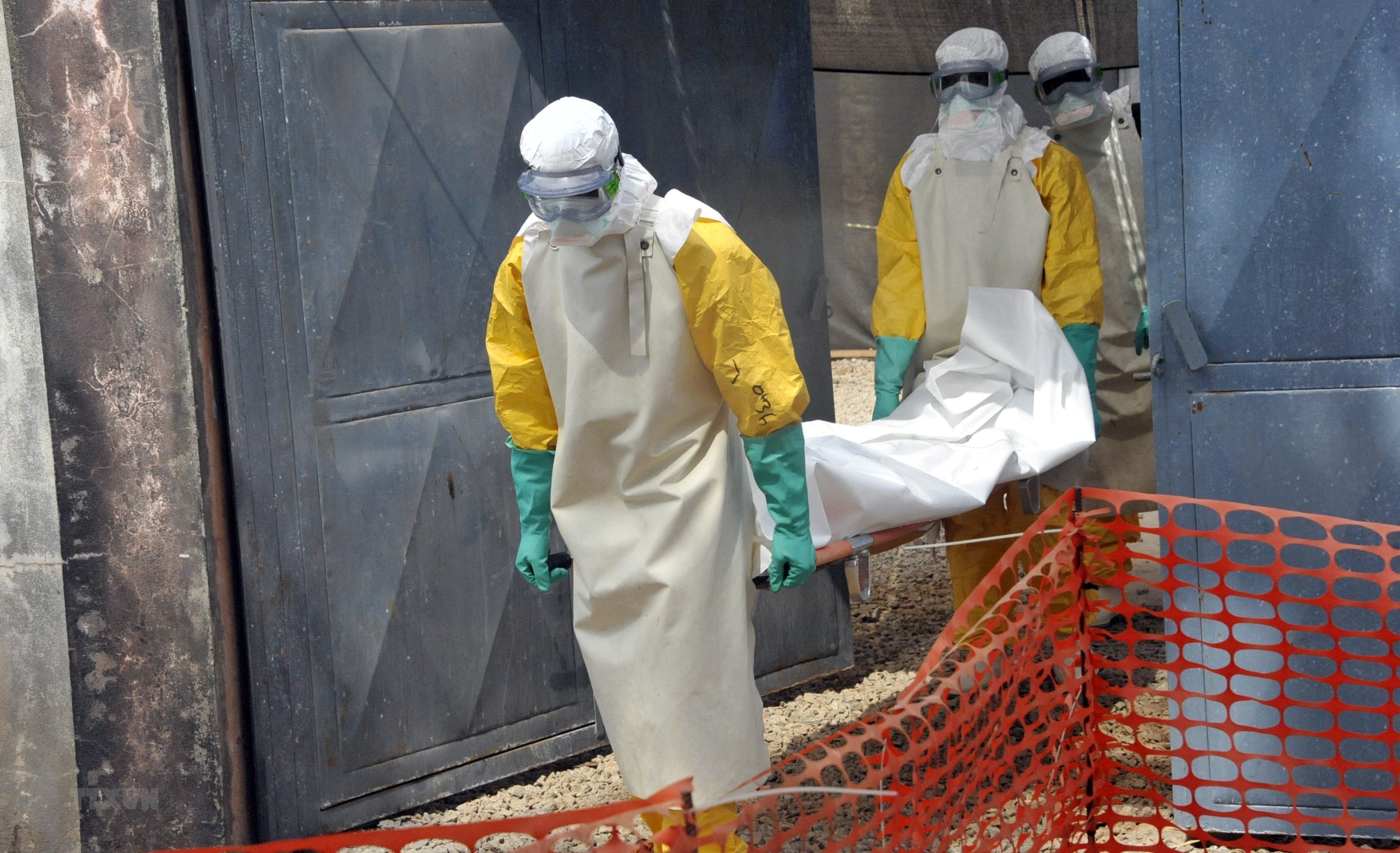 Ảnh tư liệu: Nhân viên y tế chuyển thi thể bệnh nhân tử vong do nhiễm virus Ebola ở Conakry, Guinea, ngày 8/3/2015.