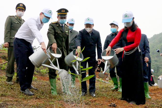 Secretary of Yen Bai’s Party Committee Do Duc Duy and leading officials of Yen Binh district participate in tree planting.