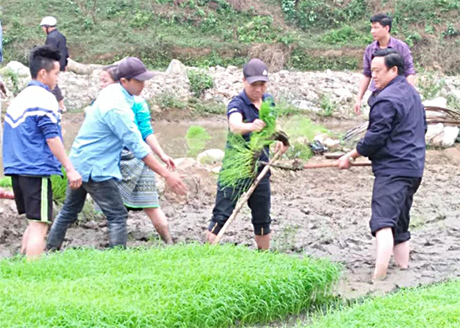 Bí thư Huyện ủy Trạm Tấu Giàng A Thào cùng người dân sản xuất lúa xuân.