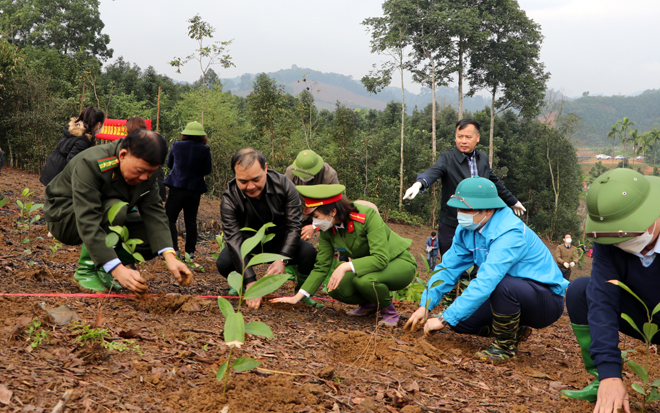 A large number of officials and residents in Tran Yen districts join the tree planting festival.