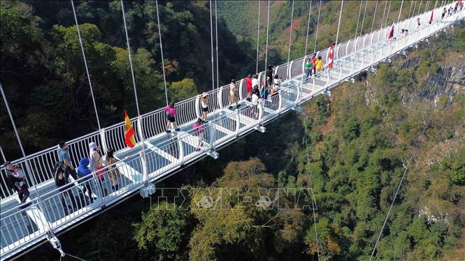 Đông đảo du khách đến tham quan Khu du lịch Mộc Châu Island, với điểm nổi bật là cầu kính Bạch Long.