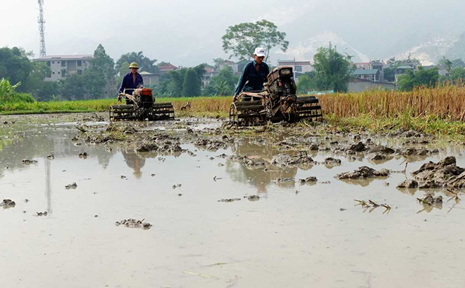 Nông dân thị trấn Yên Thế đưa máy cày vào sản xuất nông nghiệp.