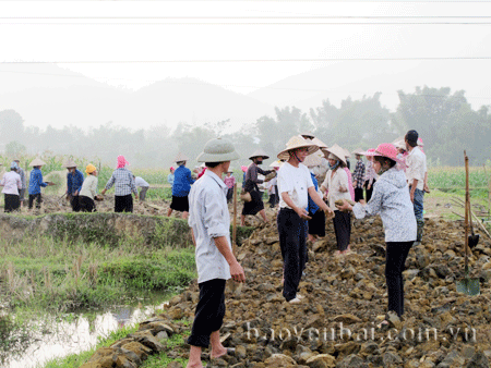 Các hộ nông dân thị xã hưởng ứng hiến đất và tham gia ngày công làm đường giao thông nội đồng.