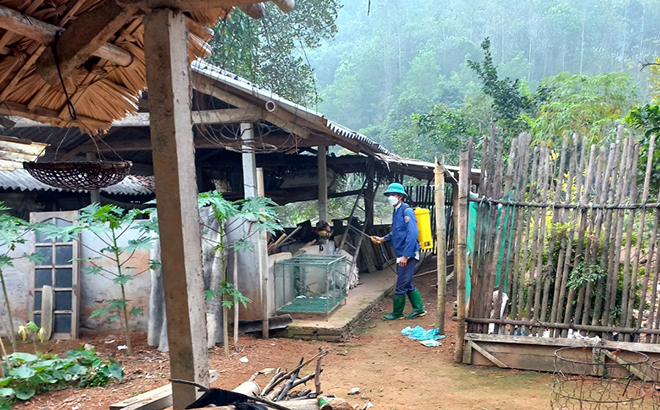 Cán bộ chuyên môn ở xã Phú Thịnh phun thuốc tiêu độc khử trùng chuồng trại cho các hộ chăn nuôi quy mô tập trung trên địa bàn xã.