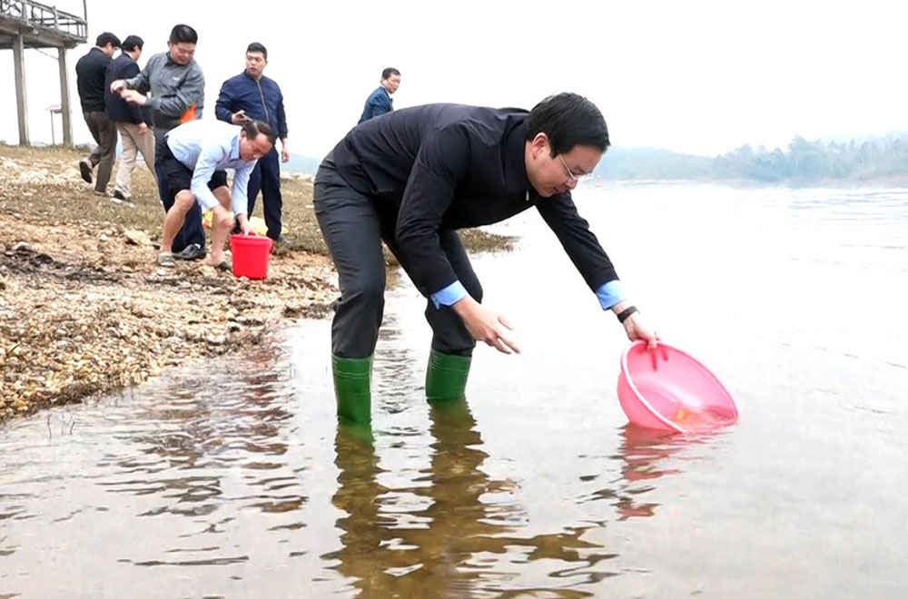 Lãnh đạo huyện Yên Bình cùng nhân dân thả trên 1 vạn con cá giống để bổ sung nguồn lợi thủy sản hồ Thác Bà.