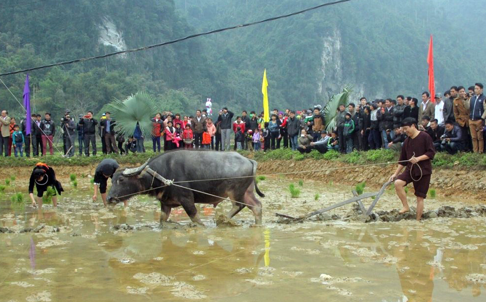 Xã Phong Dụ Thượng, huyện Văn Yên sẽ tổ chức lễ hội Lồng tồng vào ngày 24 - 25/2 (tức 15 - 16 tháng Giêng năm Giáp Thìn).