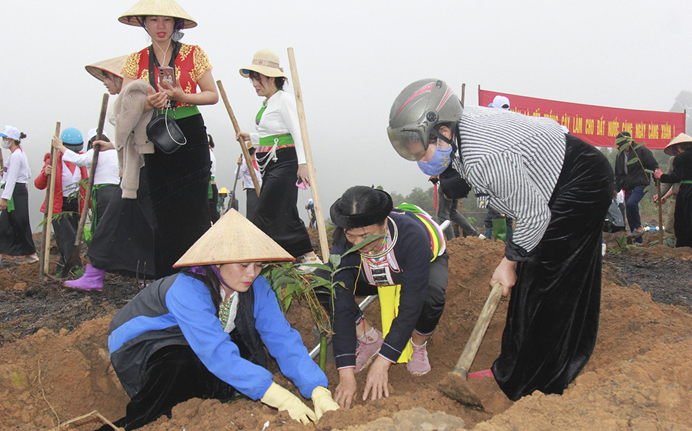 Người dân xã Quy Mông, huyện Trấn Yên tham gia hưởng ứng Tết trồng cây Xuân Giáp Thìn năm 2024