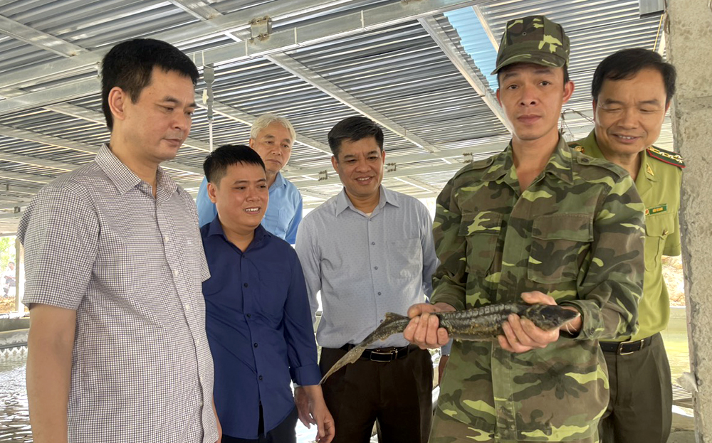 Anh Hoàng Đình Hiếu - quản lý Trại nuôi cá tầm Bản Nả giới thiệu với lãnh đạo huyện Trấn Yên và xã Việt Hồng về quy trình nuôi cá tầm tại cơ sở.