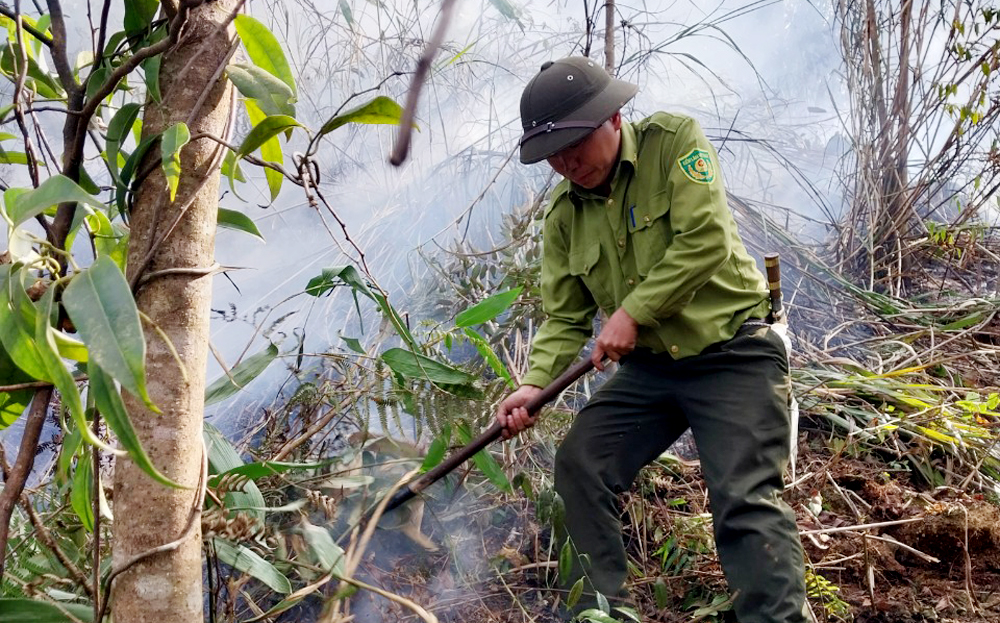Cán bộ Hạt kiểm lâm huyện Mù Cang Chải nỗ lực dập tắt đám cháy rừng