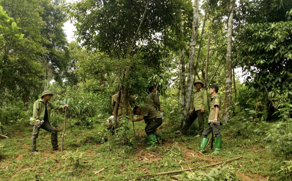 Lực lượng kiểm lâm cùng nhân dân trong xã tham gia tuần tra bảo vệ rừng. 
