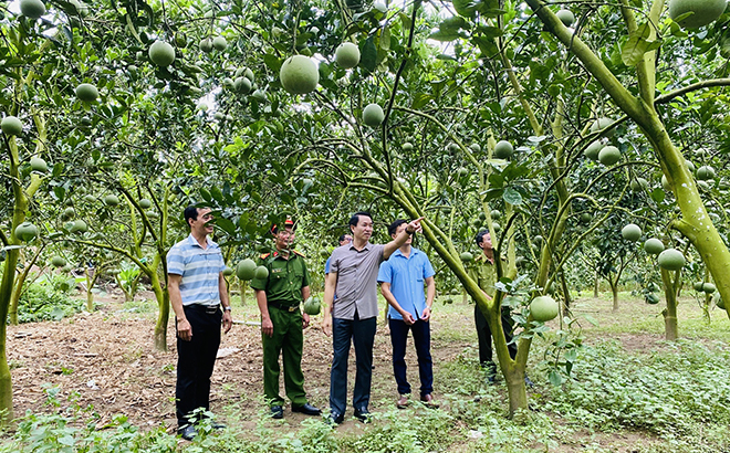 Lãnh đạo huyện Văn Yên thăm mô hình sản xuất nông nghiệp tại xã Đông An.
