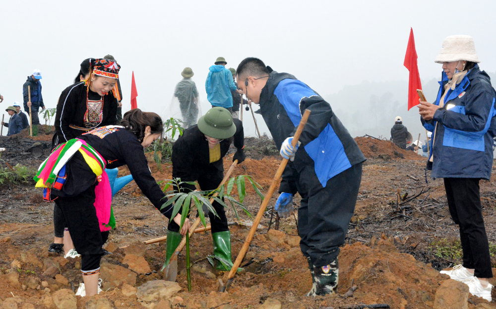 Nhân dân xã Quy Mông, huyện Trấn Yên tham gia trồng cây hưởng ứng Tết trồng cây Xuân Giáp Thìn năm 2024

