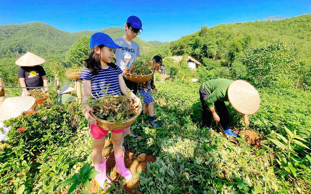 Visitors experience agricultural tourism at Thac Ba Lake, Yen Binh District.