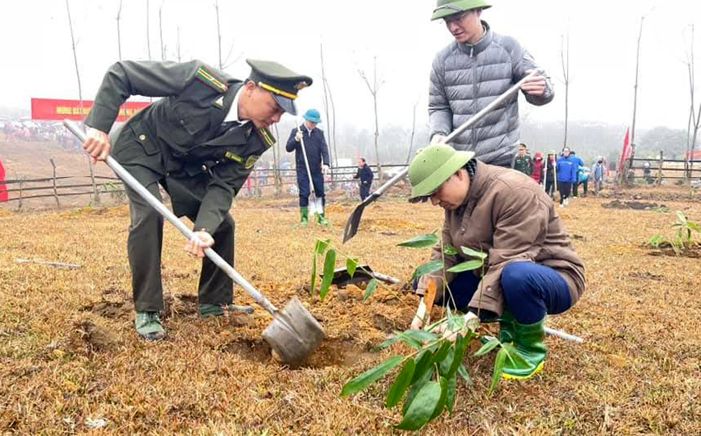 Lãnh đạo huyện Văn Chấn tham gia trồng tre măng Bát Độ tại xã Sùng Đô trong ngày đầu ra quân hưởng ứng Tết trồng cây Xuân Ất Tỵ 2025.
