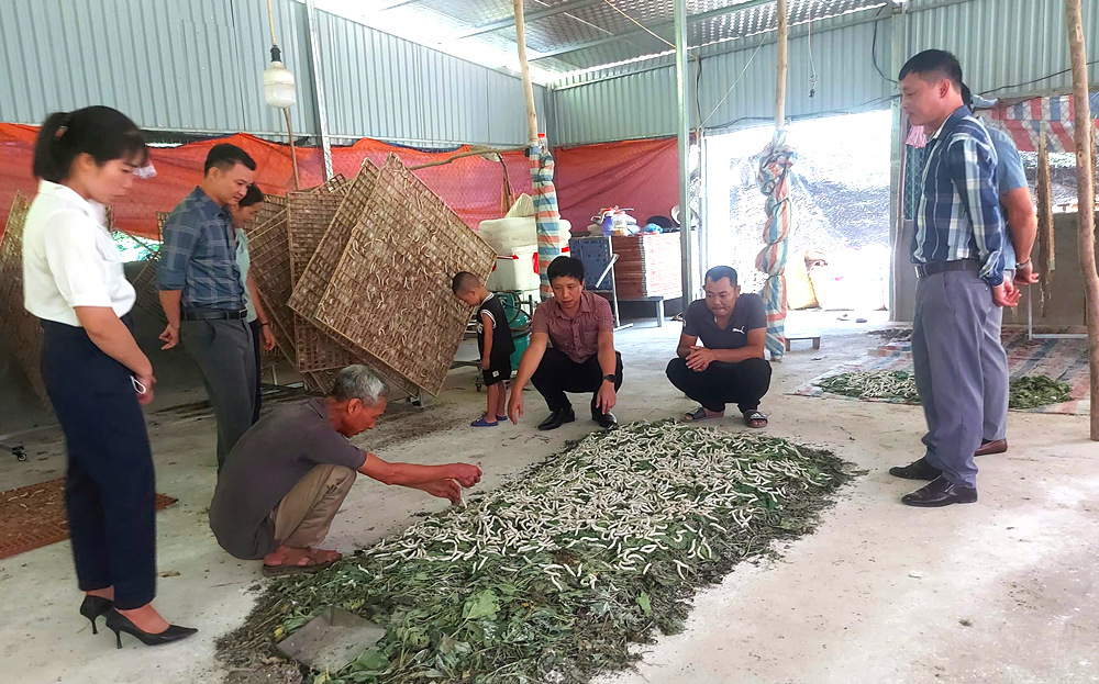 Lãnh đạo xã Yên Phú thăm mô hình trồng dâu nuôi tằm của gia đình bà Lê Thị Thu, thôn Yên Tiên.