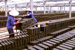 Sản xuất gạch xây dựng tại công ty TNHH Quang Thịnh.
