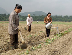 (Ảnh minh hoạ). (Ảnh: Thành Trung).