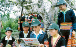 Đoàn quân tự vệ xã Suối Giàng (Văn Chấn) đọc Báo Đảng trong giờ giải lao trên thao trường.

