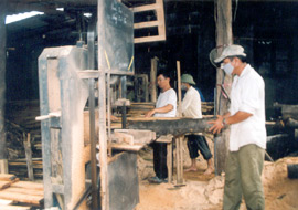 Chế biến gỗ rừng trồng ở huyện Trấn Yên.