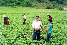 Phóng viên báo YBĐT tác nghiệp tại xã vùng cao Khai Trung (Lục Yên). (Ảnh: Minh Đức)