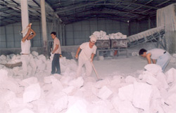 Công nhân nhà máy chế biến CaCO3 thuộc HTX khai thác vận chuyển đá Mông Sơn đẩy nhanh tiến độ sản xuất đáp ứng nhu cầu khách hàng.