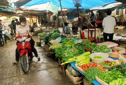 Người tiêu dùng không thể biết rau, quả, củ bày bán này có nguồn gốc như thế nào.