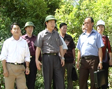 Đồng chí Phùng Quốc Hiển- Uỷ viên TƯ Đảng, Bí thư tỉnh ủy Yên Bái kiểm tra tình hình phát triển kinh tế tại xã Làng Nhì.