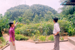 Bà Phạm Thị Dục (trái) nói về 2 thửa ruộng đất đang tranh chấp phía trước đồi keo số 9 và thửa 126a.


