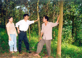 Ông Lê Cao Vi (bên phải) là hộ trồng rừng kinh tế nhiều nhất ở xã An Bình (Văn Yên).
(Ảnh: Quỳnh Nga)
