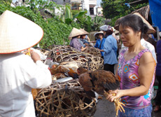 Giá thực phẩm biến động ảnh hưởng đến đời sống người dân.