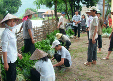 Nông dân Văn Chấn giao nhận chè giống.