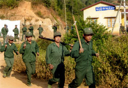 Lực lượng DQTV xã Mồ Dề diễn tập PCCC rừng.